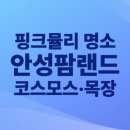 거창목장 | 안성팜랜드 가을꽃 정복! 핑크뮬리·황화코스모스·목장코스 완전 정복