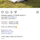 뷰티아이콘 | W4. 광주 야외웨딩스냅 아이콘스냅 계약 후기(광주야외스냅/포뮤즈뷰티/아이콘스튜디오)