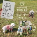 서호잔디광장 이미지