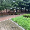 굿모닝병원 앞 사거리 | 굿모닝병원 종합건강검진 수면내시경 후 죽 쿠폰 사용 후기