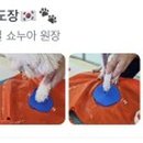 쇼누아 이미지