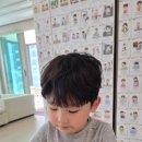 그로잉트리
