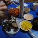 동준세차