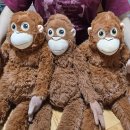 도은야식 이미지