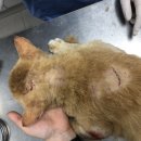 법원2리 이미지