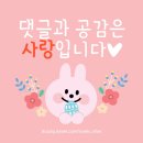 도니친구미나리