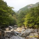 파래소 가든 이미지