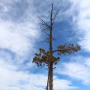 고원농장 | 고원과 별들이 펼쳐진 하늘공원을 보다