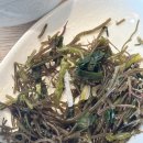 현대비치타운(25003) | 전남해남, 파인비치 CC+솔라시도 CC 1박 2일 골프 후기