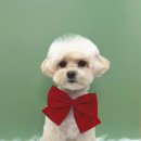 위드두유 이미지