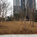 노고산소공원 이미지