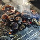 용마검사정비 이미지