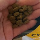 프리미엄치킨 | 쓰라이브 프리미엄플러스 치킨 고양이 건사료 솔직 후기(ft. 기호성 높고 급여해도 매우 안전한 영국...