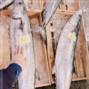 3월 12일(화) 목포는항구다 생선카페 판매생선 [ 참가자미(대), 삼치(대) ] 이미지