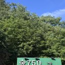 광주근교아이랑 주말나들이 여기였어요! 계곡식당 숲750에서 초등남매 3시간 물놀이 후기