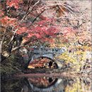 백양사진입로 이미지