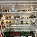 해피스타데이 | 인사동 쌈지길 원데이클래스 추천 / <해피에버애프터> 테라리움 체험 후기