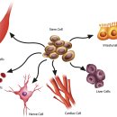 강동아이비의원 이미지