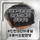 검단 가성비 미용실 로이드밤 성민 디자이너 태슬컷 매직후기