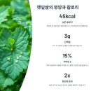 황금웰빙쌈밥도시락 | 깻잎쌈 도시락 향긋한 꿀팁