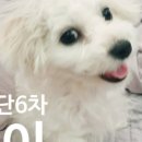 (주)에버셀 이미지