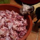 빈이맘마 이미지