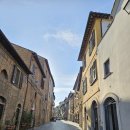 연옥민박 | [이탈리아/오르비에토] 23.10月로마 근교 도시 오르비에토 여행 - 2편,알보르노찌아나 요새 Rocca...