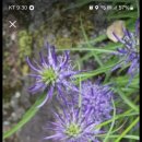 기억되는 날 이미지