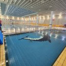🏊‍♂️[동작]서울여성플라자스포츠센터(Seoul Women&#39;s Plaza Sports Center) 자유수영 안내(남성이용가능)