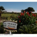 김경숙농장 이미지