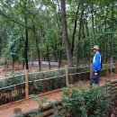 구름산산림욕장 이미지