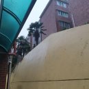 장전중학교 이미지