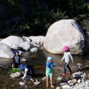 계곡캠핑펜션 이미지