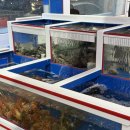 해안선 | 상무지구 맛집, 제철요리 전문점 해안선 방문후기 (추천메뉴있음)