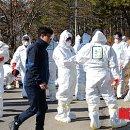 이창우농장 이미지