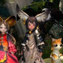 팩앤패키지 이미지