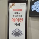 노아르