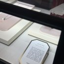 [w2. 웨딩밴드] 백화점 명품브랜드💍구매! (부쉐론/티파니앤코/까르띠에/불가리/반클리프/샤넬/다미아니...