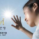 모앤영김포 네이버블로그