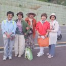 소풍 Daum카페