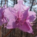 여주-1076 이미지