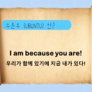 주식회사 우분투 이미지