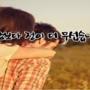 사랑보다 정이 더 무섭습니다 이미지