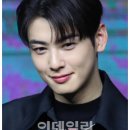 차은우, ‘엄마 회사’로 탈세 의혹… 200억대 추징 이미지