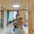 쮸펜션 | [금산여행]대전근교 더슈나애견펜션(워터슬라이드 야외수영장)