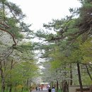 황제여관(황제모텔) 이미지