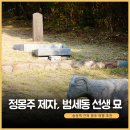 범세동 선생묘 이미지