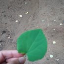 계수나무한의원 이미지