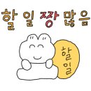 온니유플라워