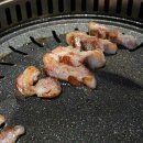 고기진심
